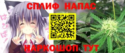молекула духа Можга