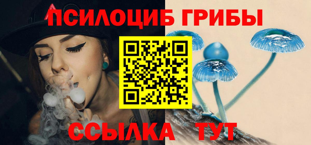 Галлюциногенные грибы мицелий  Вход с VPN  где купить наркотик  Шатура 